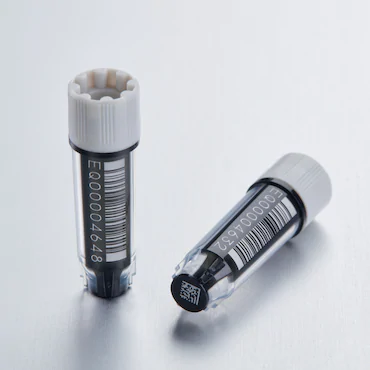 艾本德Eppendorf CryoStorage Vial, 0.5 mL, 不含 DNase、RNase、人類 DNA 和內(nèi)毒素；外螺紋，預(yù)先加蓋灰色管蓋，帶 2D SafeCode (DataMa