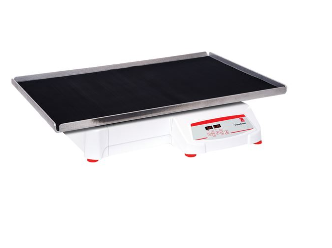 美國奧豪斯，OHAUS，脫色搖床，回旋振蕩器，圓周振蕩器，大負(fù)載圓周式搖床，SHHD6825DG