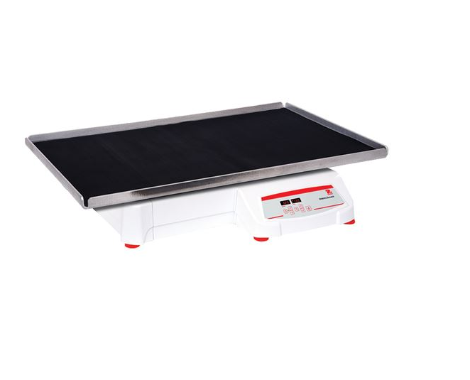 美國奧豪斯，OHAUS，脫色搖床，回旋振蕩器，圓周振蕩器，大負(fù)載圓周式搖床，SHHD6850DG